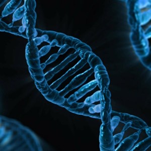 DNA Sequencing Market 2020-2026 Size, Share, Segmentation, Outlook, Industry Report to 2026 | Top Players - Abbott, GE Healthcare, Johnson & Johnson, Agilent, Siemens AG