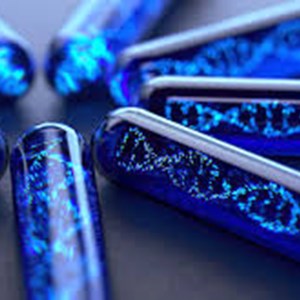 Genetic Testing Market 2021: Global Industry will Generate $17,607 Million Value Market by 2025 | Apex Market Research