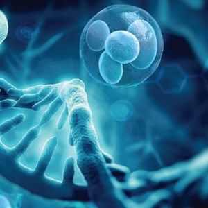 Global Regenerative Medicine Market Is Expected to Attain A Market Value of US$ 178.6 Billion By 2026