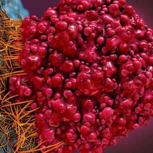 Global Cancer Therapeutics Market In Depth Research with Industry Trends, Key Players and Forecast by 2026