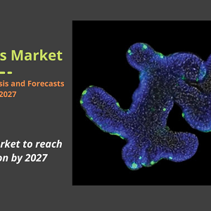 Organoids Market  is projected to reach US$ 3,420.40 million by 2027 and to grow at a CAGR of 22.1%