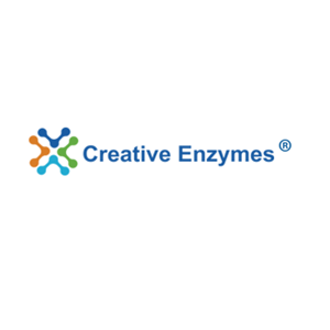 Creative Enzymes Optimized Lysozyme for Researchers in the Life Science Field