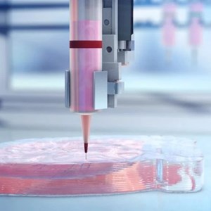 3D Bioprinting Market of Living Human Tissues/Organs - Industry Analysis, Size, Share, Growth, Trends, and Forecast (2021-2027)