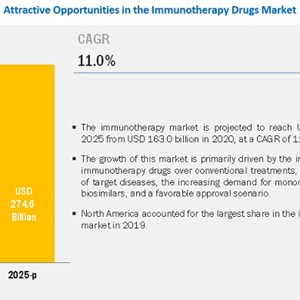 Rising prevalence of cancer and autoimmune & infectious diseases advancing the Immunotherapy Drugs Market