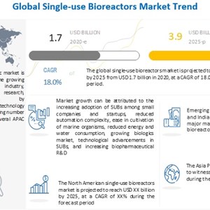 Single Use Bioreactors Market Growth Factors and Business Intelligence