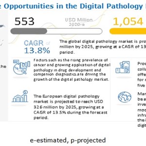 Growing applications in drug development and companion diagnostics advancing Digital Pathology Market