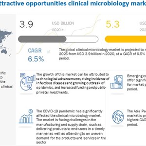Clinical Microbiology Market New High Growth Revenue Sources - An Update