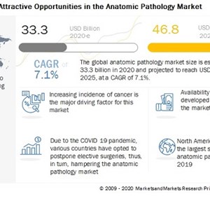 Anatomic Pathology Market : Increasing number of clinical trials pertaining to cancer drugs