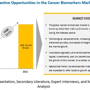 Growing Use of Biomarkers in Drug Discovery and Cancer Biomarkers Market Development