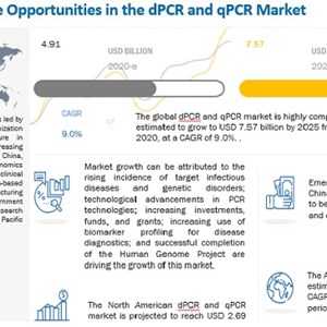 Digital PCR Market Top Segments and Future Trends