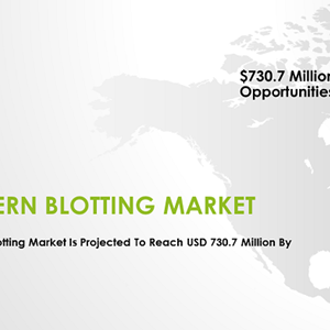 Western Blotting Market worth USD 730.7 Million by 2021 : Increasing demand for personalized medicine