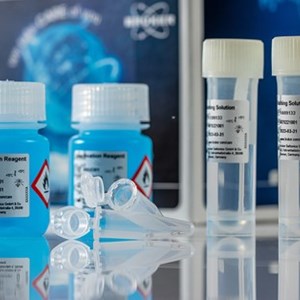 Bruker Announces New Microbiology Products and Workflows for Microbial Identification and Infection Control at ECCMID 2021