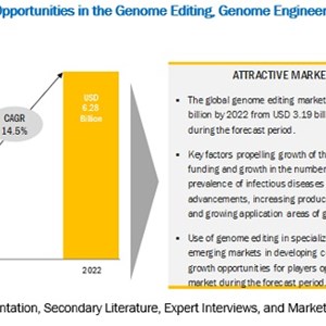 Growing Application Areas of Genomics - Gene Editing Market Developments