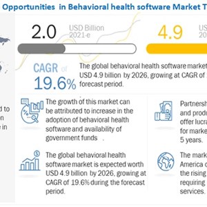Telehealth as a Means of Providing Care Services Advancing the Behavioral Software Market