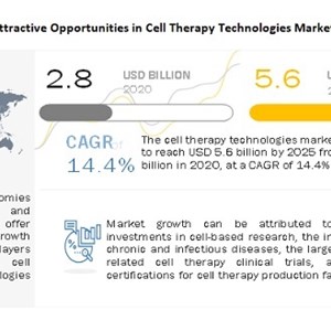 Cell Therapy Technologies Market worth USD 5.6 billion Indicates Impressive Growth Rate In Cell Processing Industry