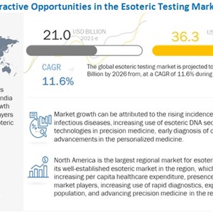 Esoteric Testing Market : Indicates Impressive Growth Rate In Neurology And Medical Devices Industry