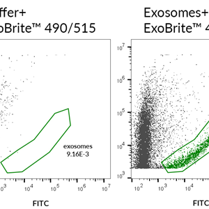 Biotium launches optimized solution for exosome detection by flow cytometry