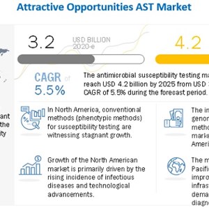Antimicrobial Susceptibility Testing Market Growth And Business Intelligence