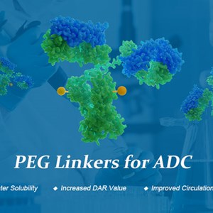 Biopharma PEG Develops PEG Derivatives for ADCs Development