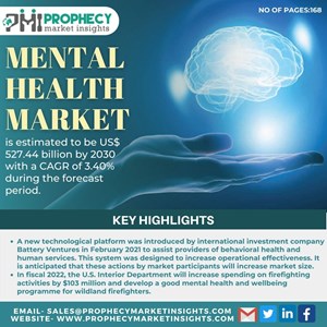Mental Health Market is estimated to be US$ 527.44 billion by 2030 with a CAGR of 3.40% during the forecast period
