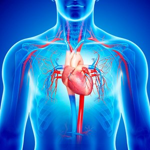 Cardiac Rhythm Management Devices Market Size, Status and Business Growth 2022 to 2030