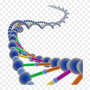 Spatial Genomics and Transcriptomics Market Size, Global Key Players, Types, Applications, Countries & Forecast 2022 to 2030