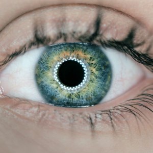 The use of Implantable Corneas from Pig Skin to Restore Vision