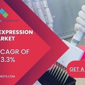 Protein Expression Market - How The Market Will Witness Substantial Growth In The Upcoming Years