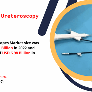 Disposable Ureteroscope Market Analysis, Trends and Dynamic Demand by Forecast 2016 to 2030