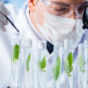 9 Reasons to Consider a Career in Biotechnology