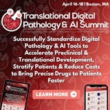 Translational Digital Pathology and AI Summit