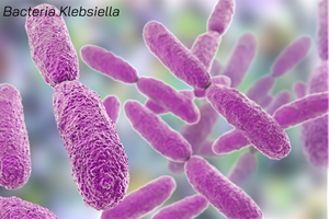 UKHSA announced as first PACE collaboration to help tackle deadly antimicrobial resistance