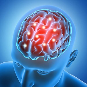 Neuropsychiatric Disorders And Treatment Market Analysis Growth Factors and Competitive Strategies by Forecast 2033 