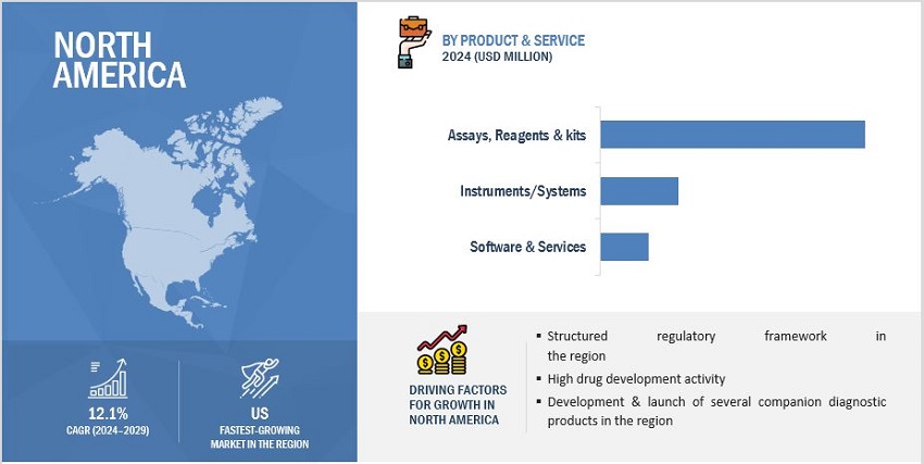 Companion Diagnostics: Tailoring Treatment for Individual Patients