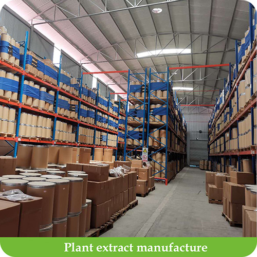 What is plant extract and quality herb plant extract manufacture