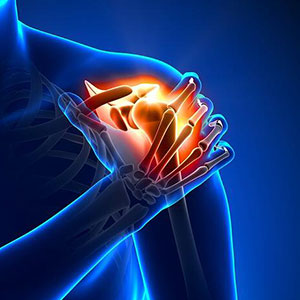 The Surge in Spinal Implants and Trauma Solutions: A Deep Dive into the Orthopedic Implants Market