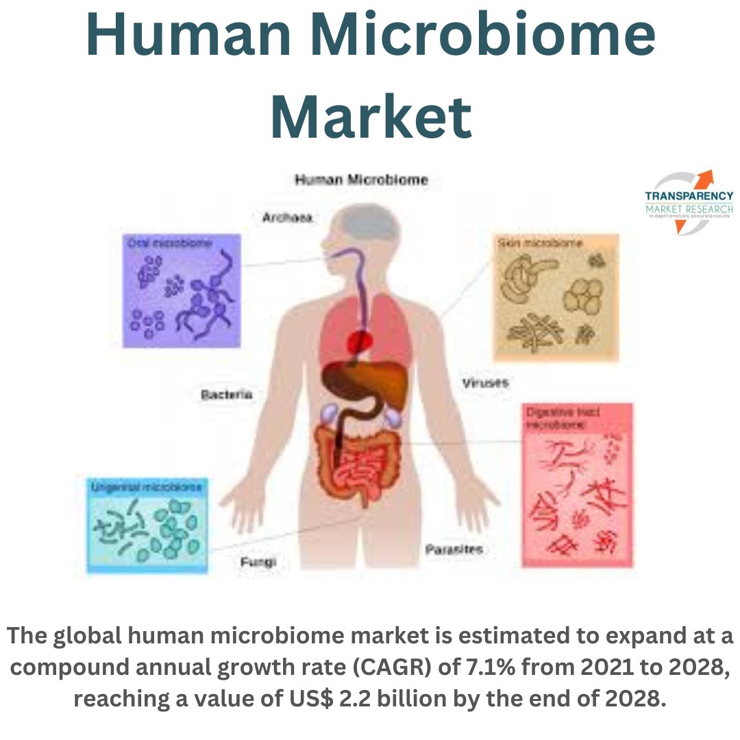 Human Microbiome Market Set to Grow at 7.1% CAGR, Reaching USD 2.2 Billion by 2028 - TMR