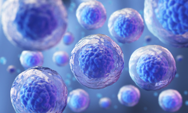 Rising Demand for Regenerative Medicine to Drive Stem Cell Assays Market to $8.5 Bn by 2033 at a CAGR of 16.5% - Latest Report by TMR