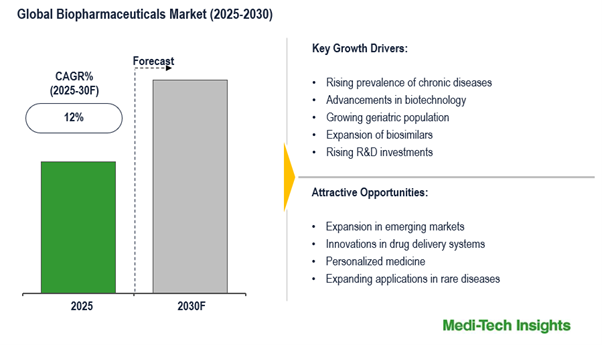 Global Biopharmaceuticals Market: Aging Population and R&D Drive 12% CAGR by 2030