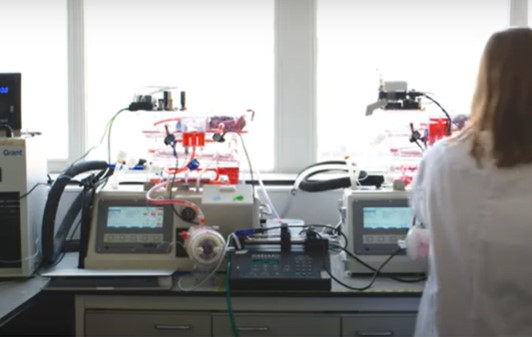 TRANSPLANT HOPE: NEW TECH TO ASSESS VIABILITY OF DONOR KIDNEYS