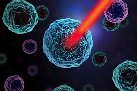 Single Cell Analysis Market: Trends, Dynamics, Segmentation, and Future Outlook