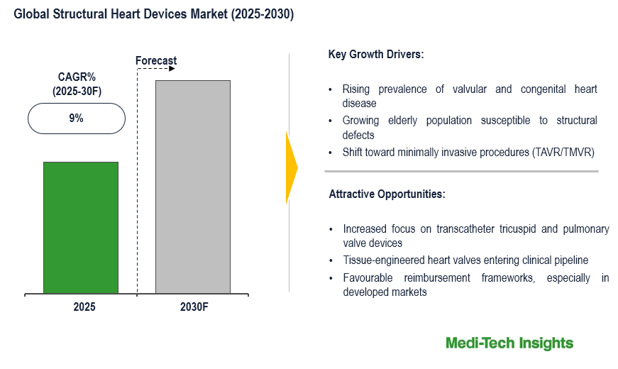 Global Structural Heart Devices Market to Grow at ~9% CAGR Driven by Aging Population and Tech by 2030