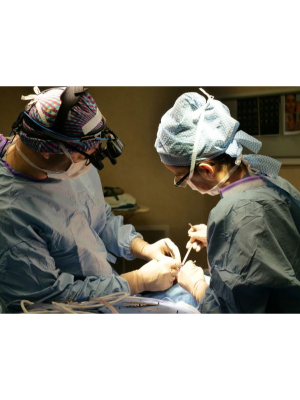 What is Orthobiologics?