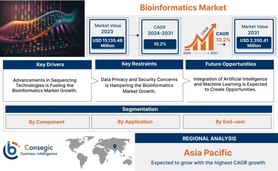 Bioinformatics Market  