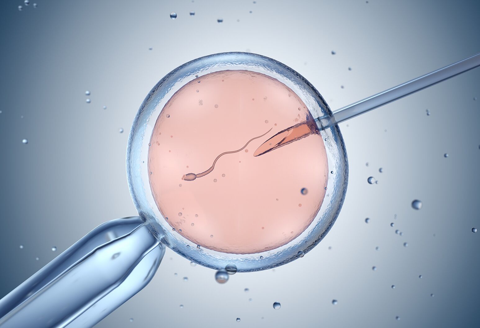 In-Vitro Fertilization (IVF) Market Growth Outlook 2025-2029 Accelerates with Precision Diagnostics Demand