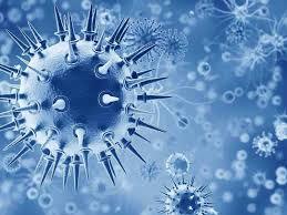 Transplant Diagnostics Market 2029 | Research Report, Analysis, Size, Share, Growth and Forecast