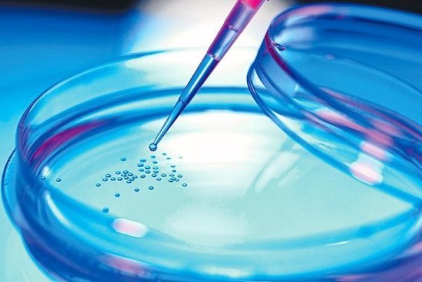 Microbiology Culture Market Strategic Insights and Growth Opportunities with Key Players and Forecast to 2031