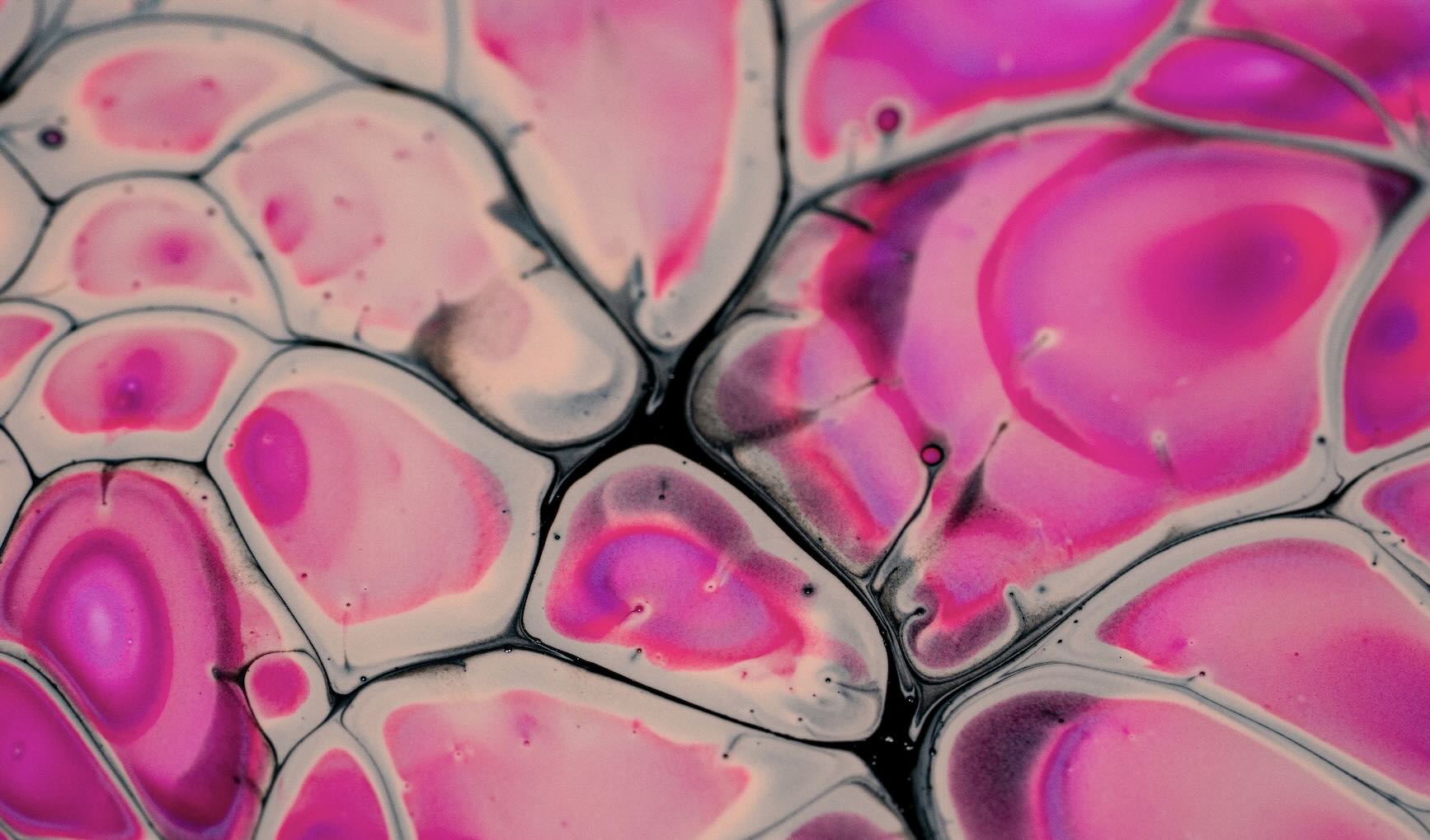 New Research Links NAD Balance to Reversal of Alzheimer’s Pathology and Full Cognitive Recovery in Animal Models