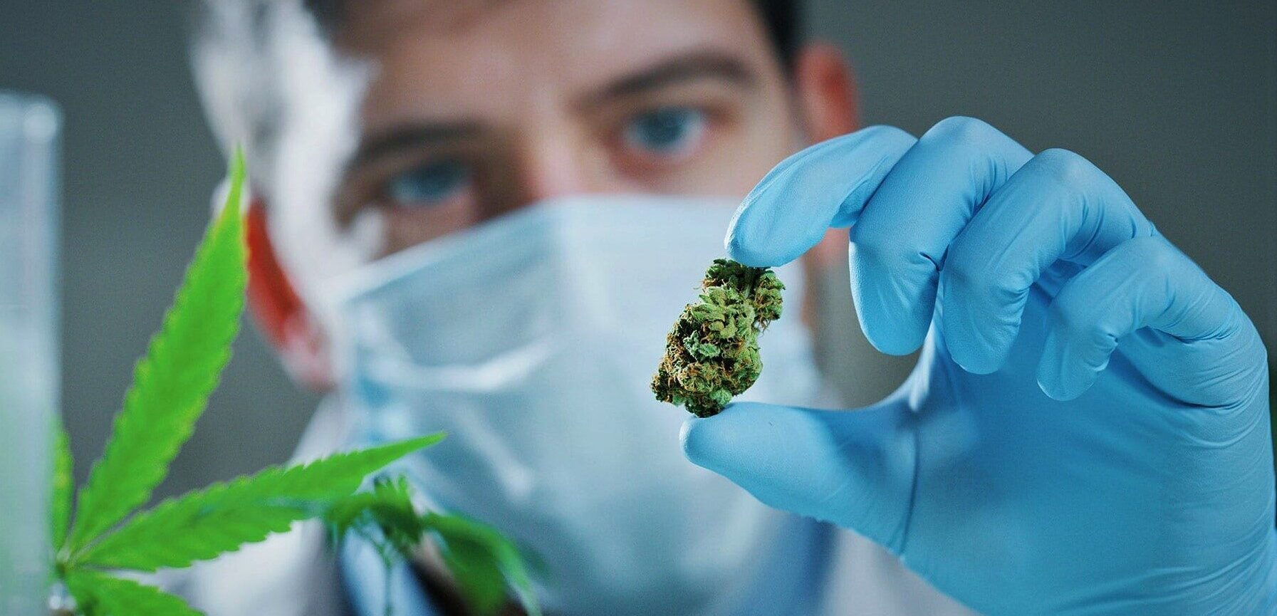 Cannabis Testing Market Report Predictions by Global Market Trends, Future Growth, Regional Overview and Forecast Outlook until 2029