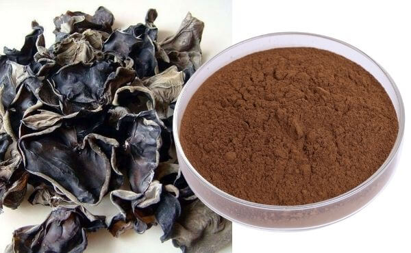 The Immune Modulator: Sourcing Black Fungus Extract Polysaccharides from China